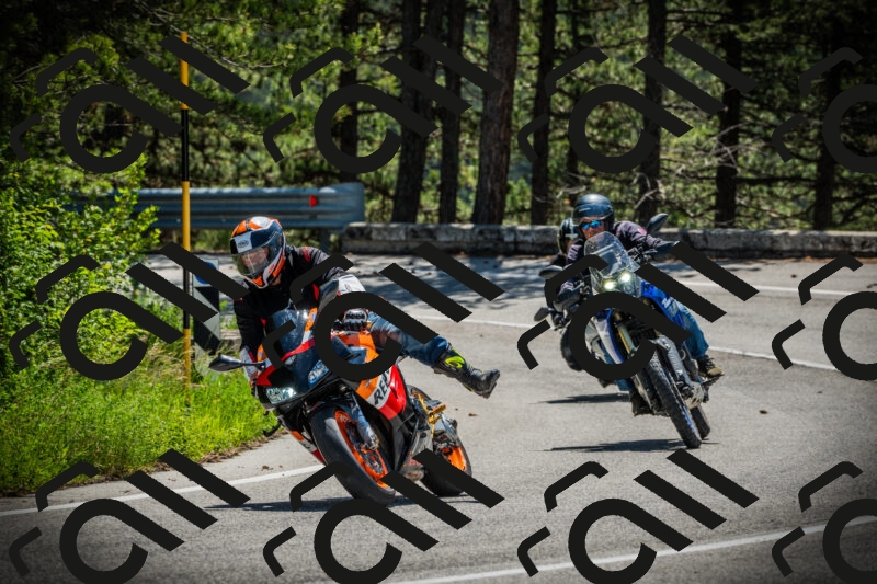 202506021129-DSC03657_c1_