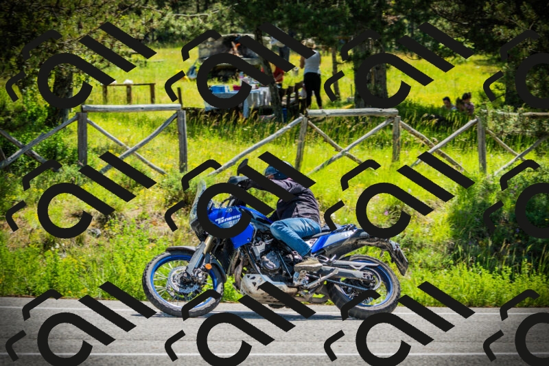 202506021129-DSC03659_c1_