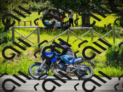 202506021129-DSC03659_c1_