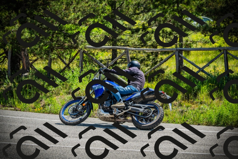 202506021129-DSC03660_c1_