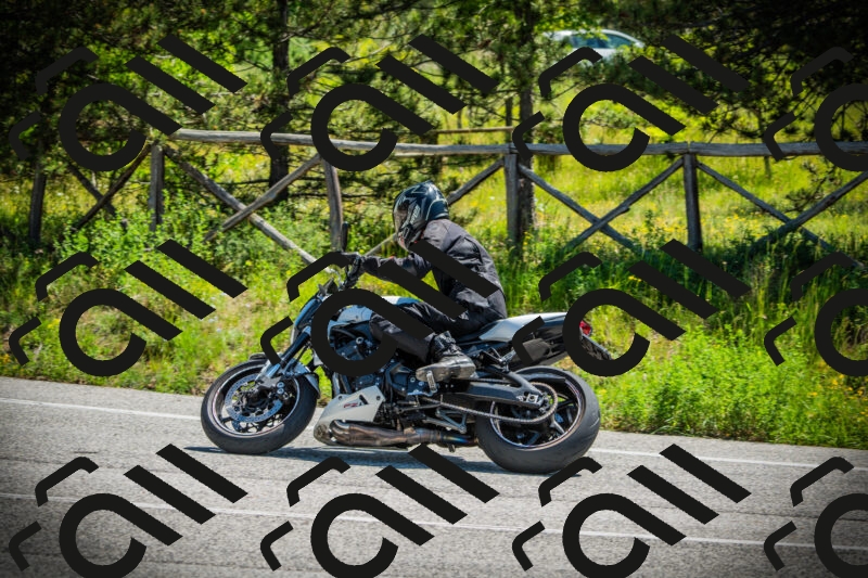 202506021129-DSC03661_c1_