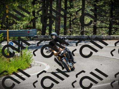 202506021129-DSC03664_c1_