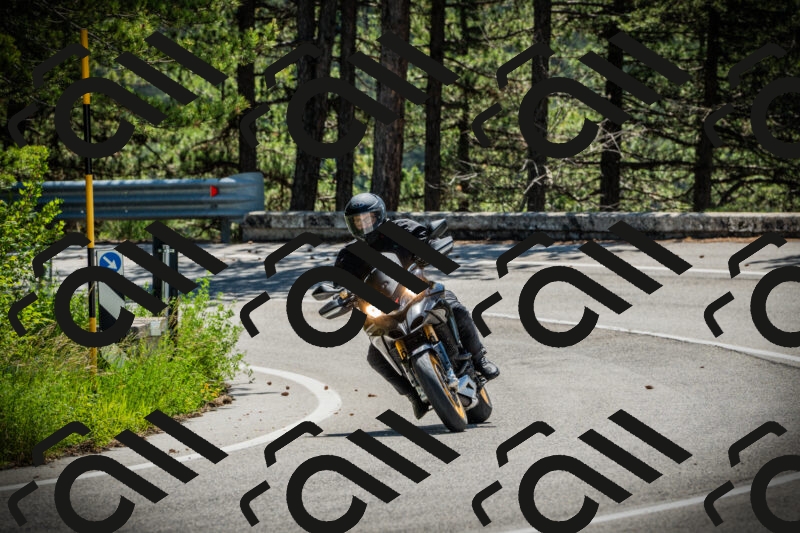 202506021129-DSC03664_c1_