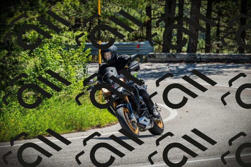 202506021129-DSC03665_c1_