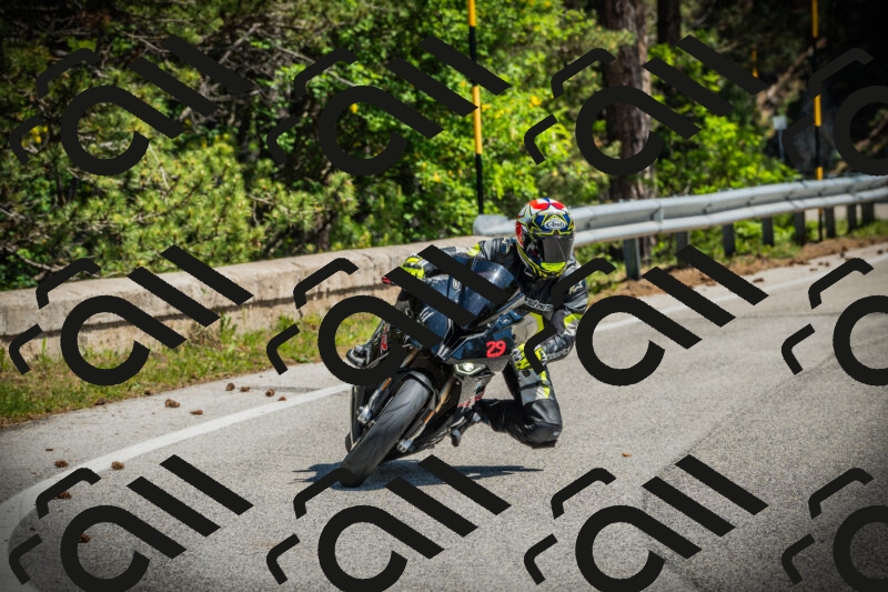 202506021131-DSC03674_c1_