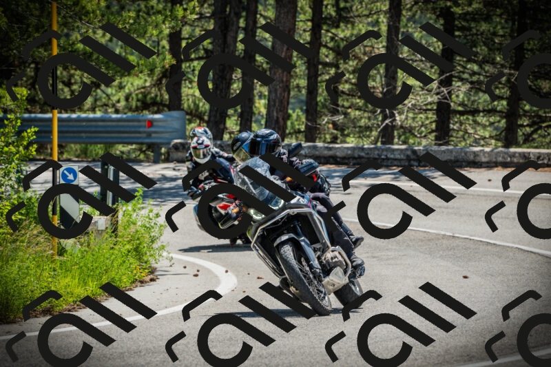 202506021131-DSC03680_c1_