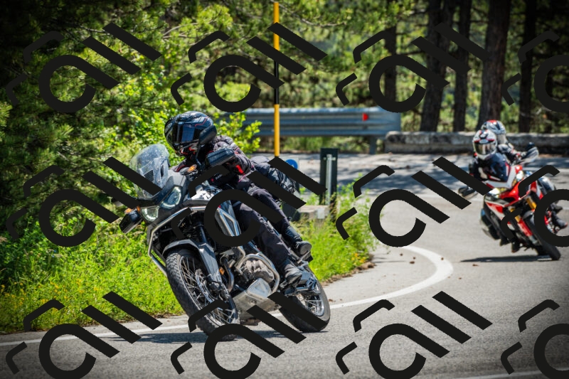 202506021131-DSC03681_c1_