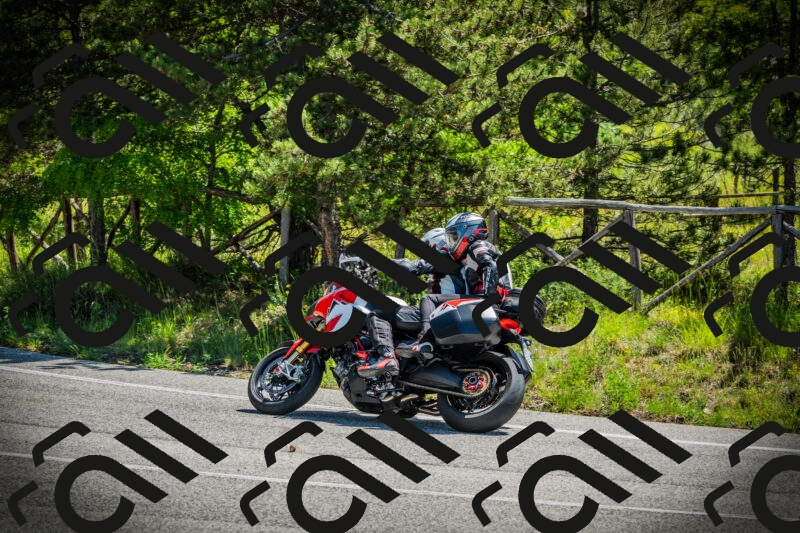 202506021131-DSC03685_c1_