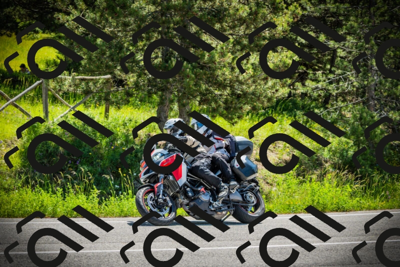 202506021131-DSC03686_c1_