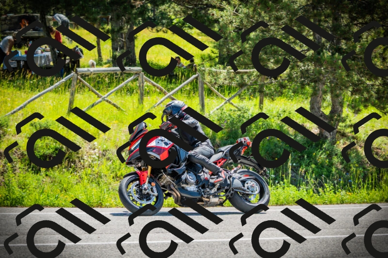 202506021131-DSC03688_c1_