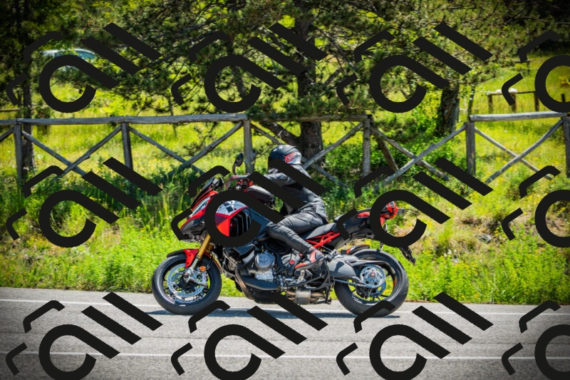 202506021131-DSC03689_c1_