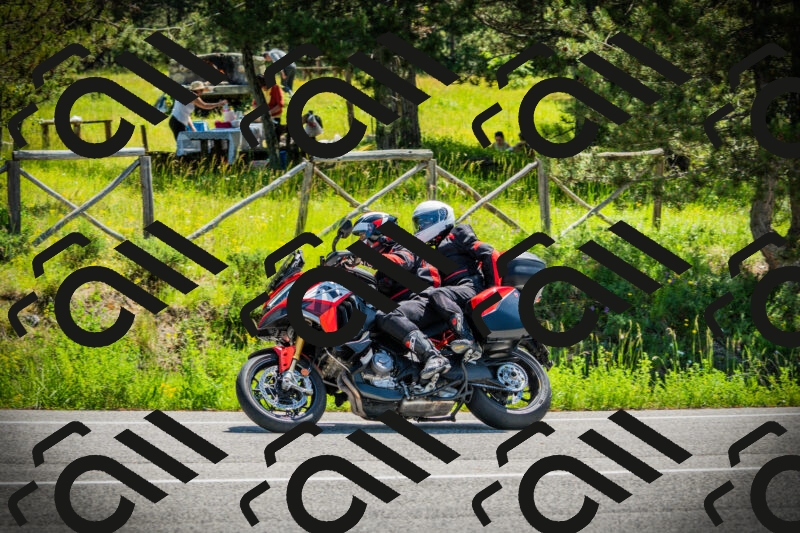 202506021131-DSC03690_c1_