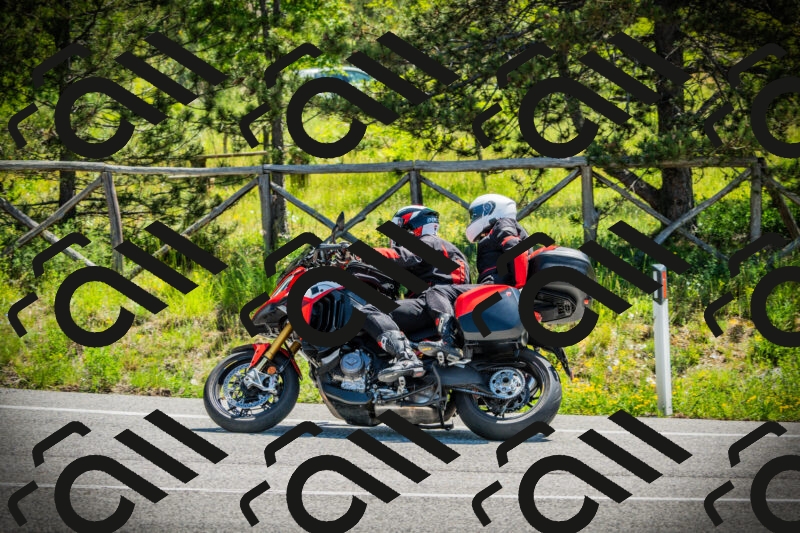 202506021131-DSC03691_c1_