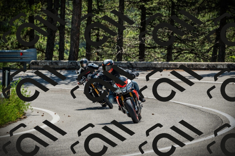 202506021132-DSC03692_c1_