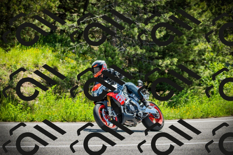 202506021132-DSC03694_c1_