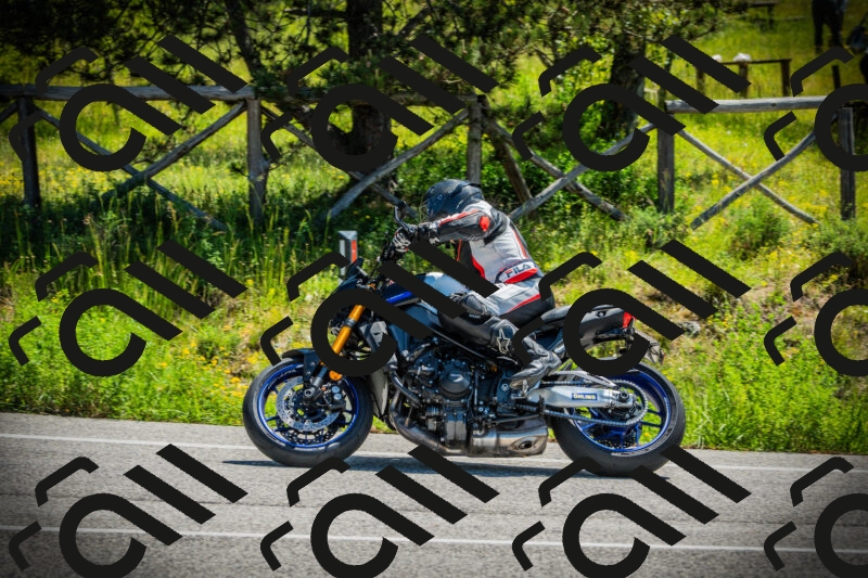 202506021132-DSC03696_c1_