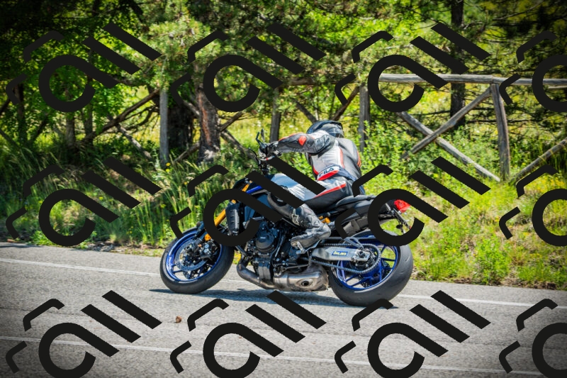 202506021132-DSC03697_c1_