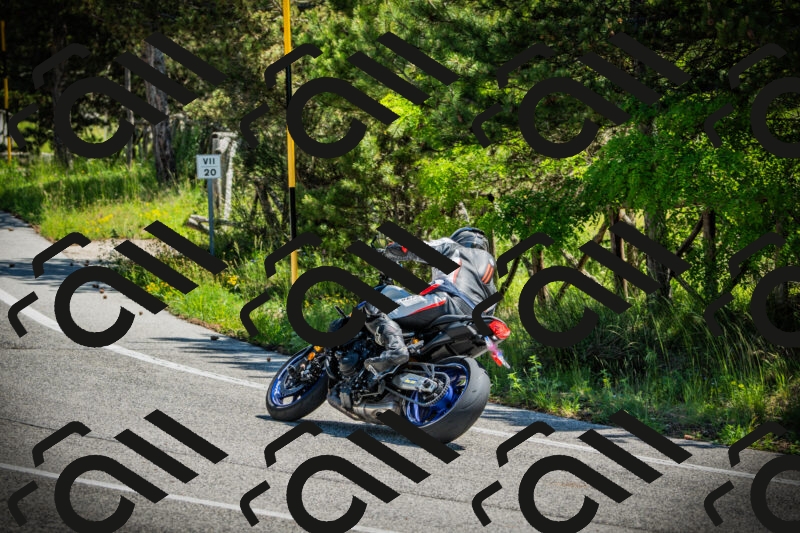 202506021132-DSC03698_c1_