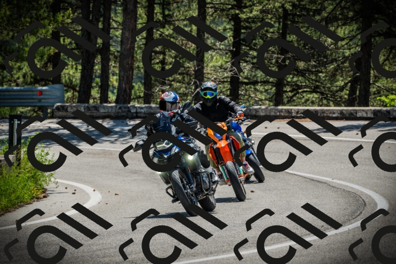 202506021132-DSC03699_c1_