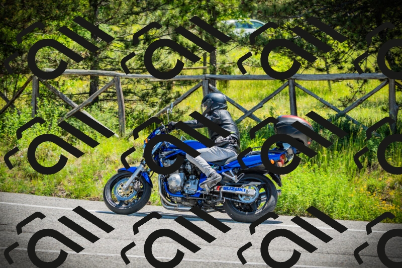 202506021132-DSC03704_c1_