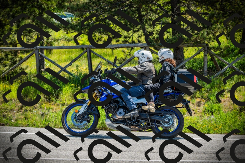 202506021133-DSC03710_c1_