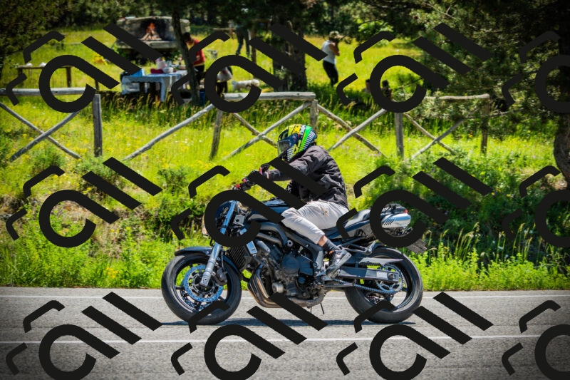 202506021133-DSC03712_c1_