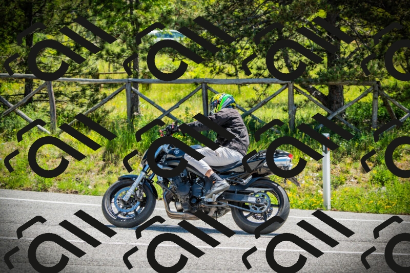 202506021133-DSC03713_c1_