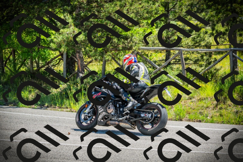 202506021133-DSC03715_c1_