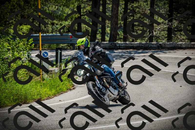 202506021134-DSC03718_c1_