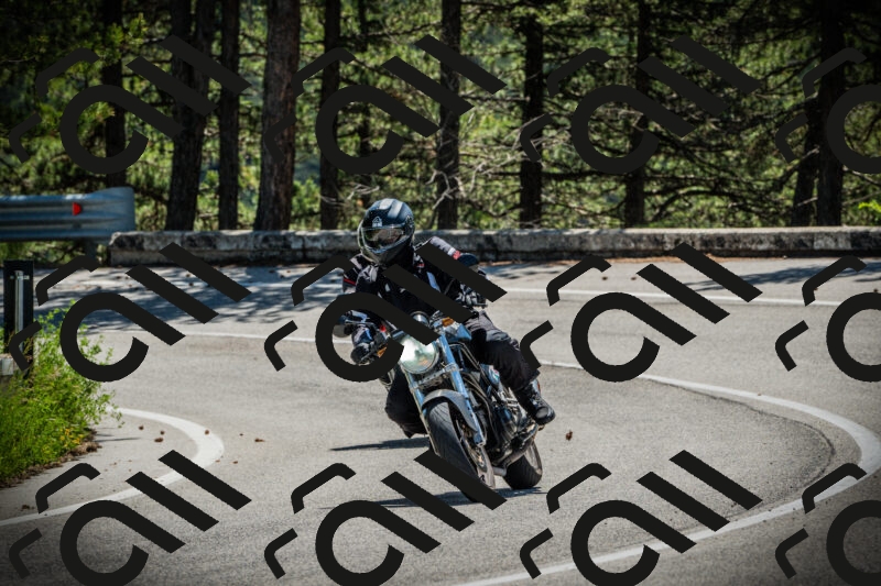 202506021135-DSC03728_c1_