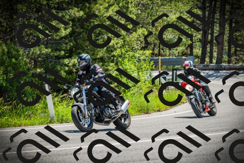 202506021135-DSC03729_c1_