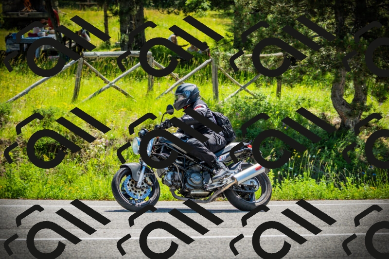 202506021135-DSC03730_c1_