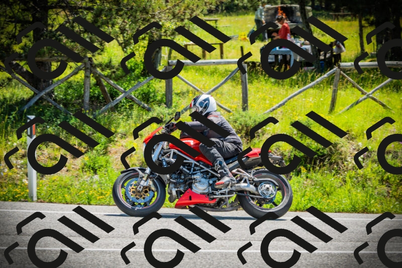 202506021135-DSC03731_c1_