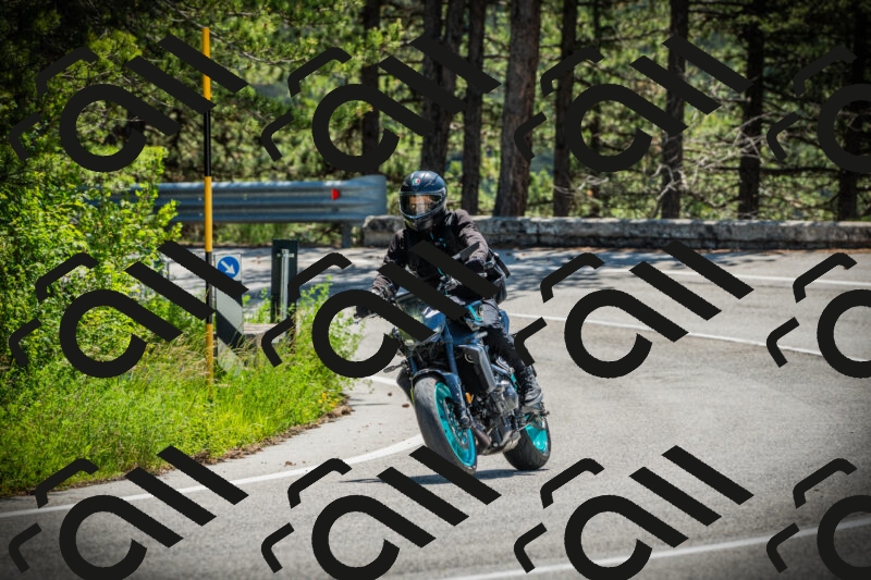 202506021135-DSC03734_c1_