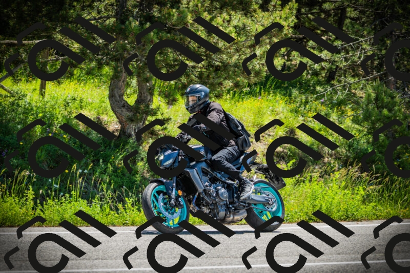 202506021135-DSC03735_c1_