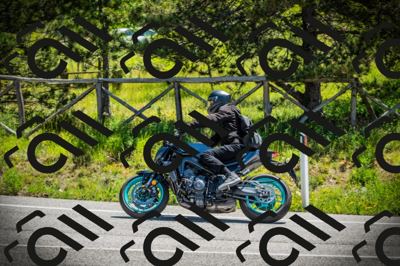 202506021135-DSC03736_c1_