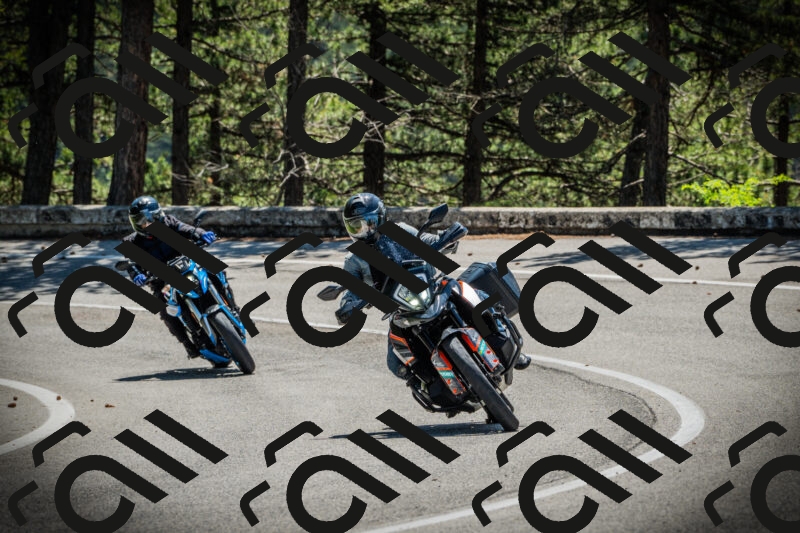 202506021135-DSC03739_c1_