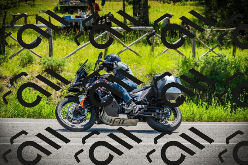 202506021135-DSC03742_c1_