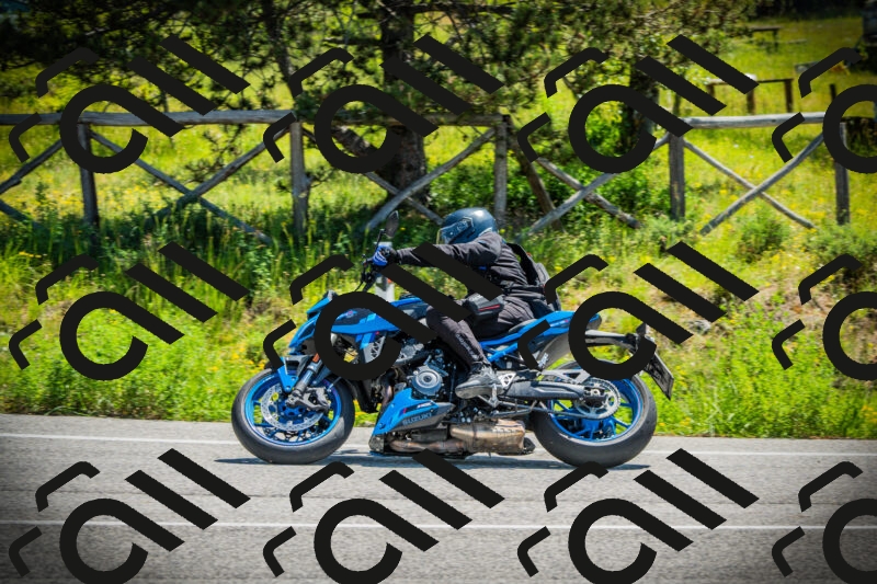 202506021135-DSC03743_c1_