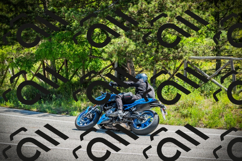 202506021135-DSC03744_c1_