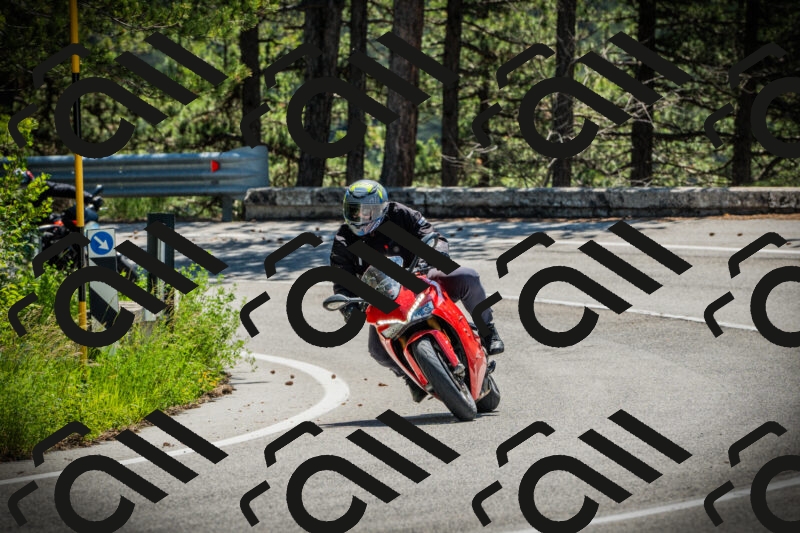 202506021136-DSC03750_c1_