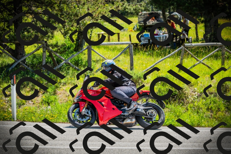 202506021136-DSC03752_c1_