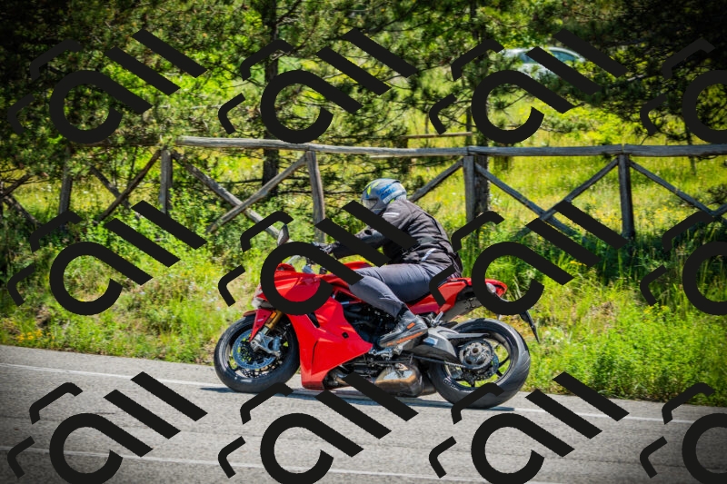 202506021136-DSC03753_c1_