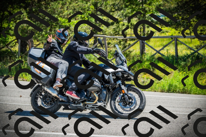 202506021137-DSC03761_c1_