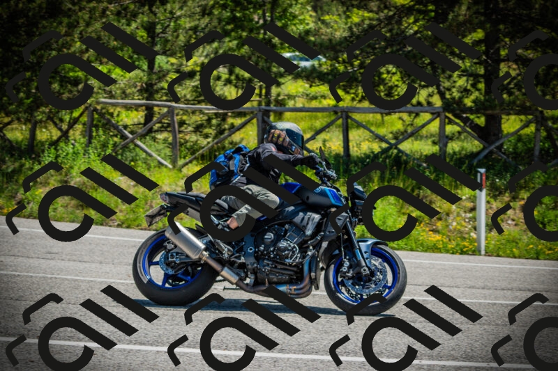 202506021137-DSC03762_c1_