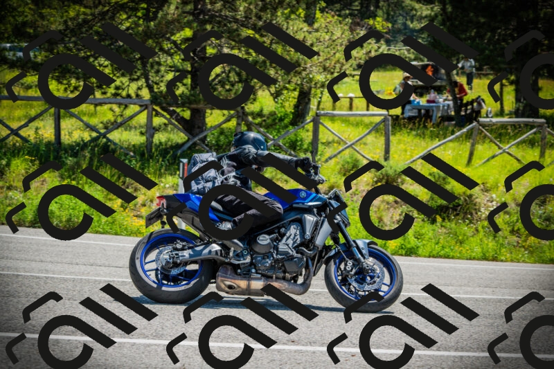 202506021137-DSC03763_c1_