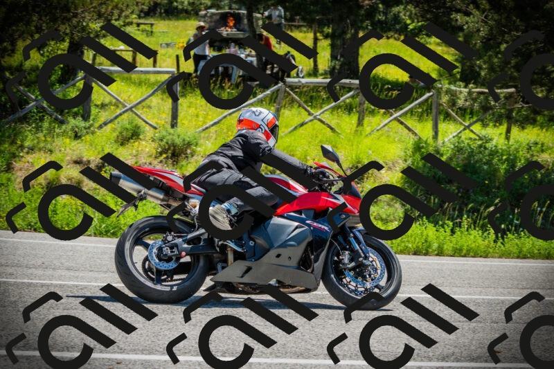 202506021137-DSC03764_c1_