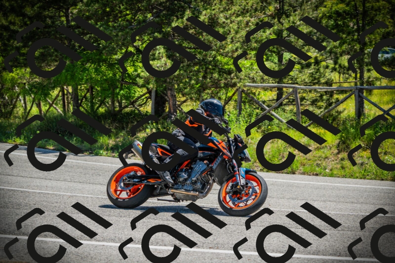 202506021137-DSC03766_c1_