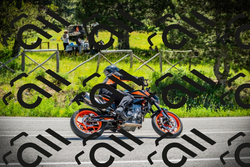 202506021137-DSC03767_c1_