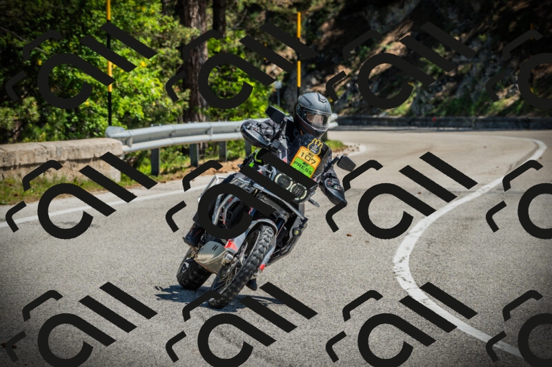 202506021137-DSC03769_c1_